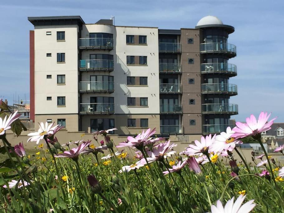 2Bed With Pool & Sea View Apartment New Quay Buitenkant foto